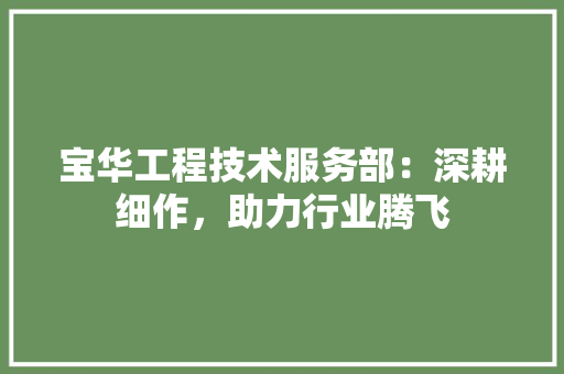 宝华工程技术服务部：深耕细作，助力行业腾飞 现代风格装饰