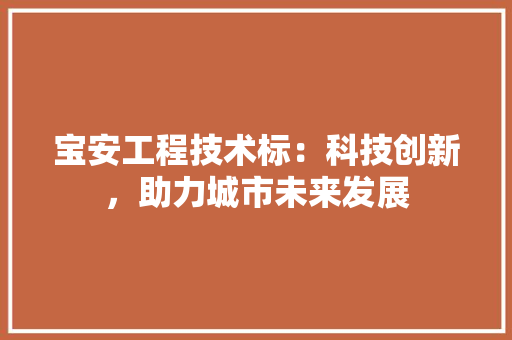 宝安工程技术标：科技创新，助力城市未来发展