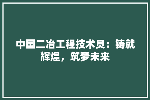 中国二冶工程技术员：铸就辉煌，筑梦未来 家居装修