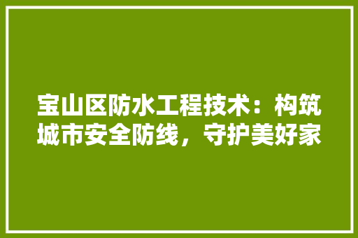 宝山区防水工程技术：构筑城市安全防线，守护美好家园