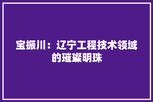 宝振川：辽宁工程技术领域的璀璨明珠 现代风格装饰
