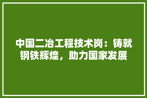 中国二冶工程技术岗：铸就钢铁辉煌，助力国家发展 家居装修