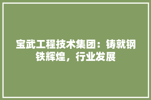 宝武工程技术集团：铸就钢铁辉煌，行业发展 现代风格装饰