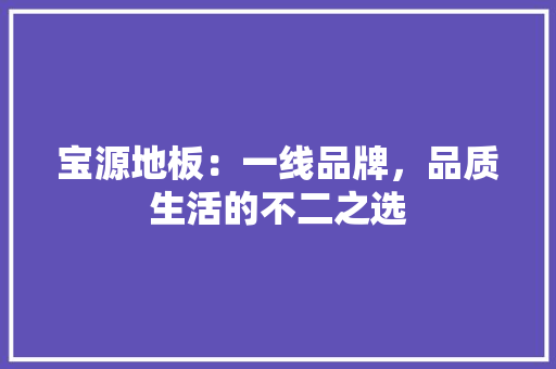 宝源地板：一线品牌，品质生活的不二之选 现代风格装饰