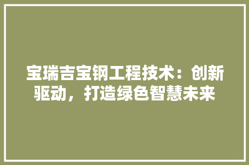 宝瑞吉宝钢工程技术：创新驱动，打造绿色智慧未来