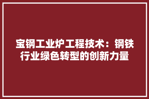 宝钢工业炉工程技术：钢铁行业绿色转型的创新力量 现代风格装饰