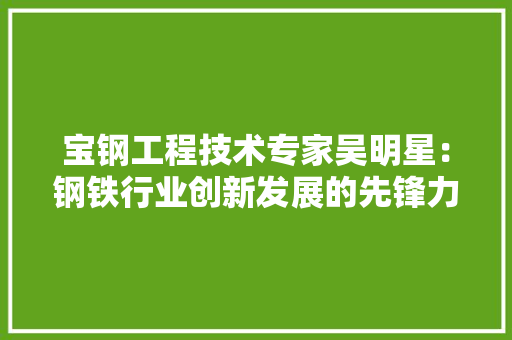宝钢工程技术专家吴明星：钢铁行业创新发展的先锋力量