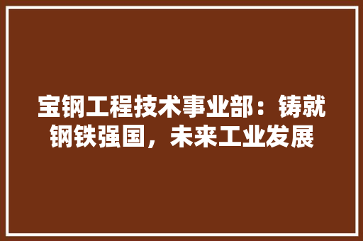 宝钢工程技术事业部：铸就钢铁强国，未来工业发展 现代风格装饰