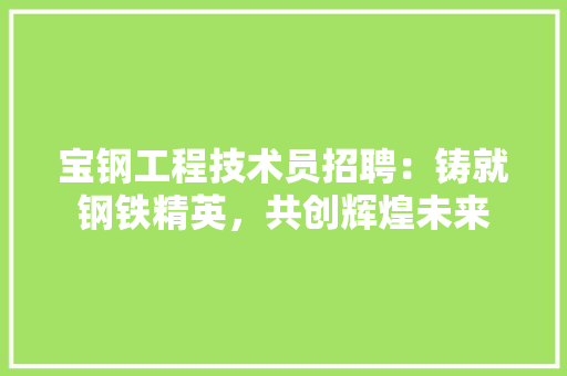 宝钢工程技术员招聘：铸就钢铁精英，共创辉煌未来 现代风格装饰