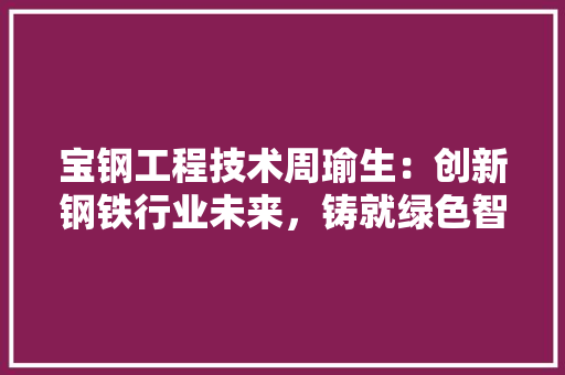 宝钢工程技术周瑜生：创新钢铁行业未来，铸就绿色智慧新篇章 现代风格装饰
