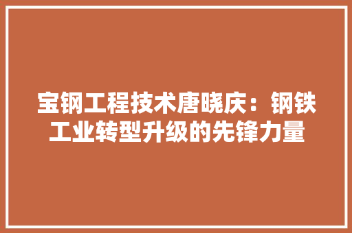 宝钢工程技术唐晓庆：钢铁工业转型升级的先锋力量