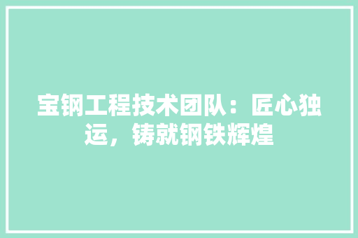 宝钢工程技术团队：匠心独运，铸就钢铁辉煌 现代风格装饰