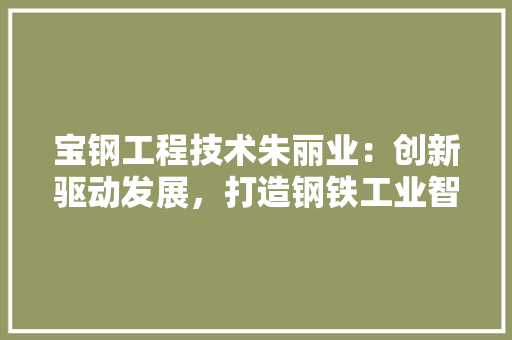 宝钢工程技术朱丽业：创新驱动发展，打造钢铁工业智能化新标杆