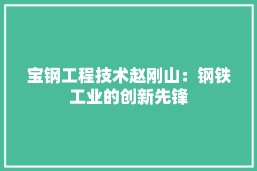 宝钢工程技术赵刚山：钢铁工业的创新先锋 现代风格装饰