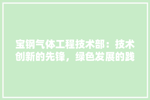 宝钢气体工程技术部：技术创新的先锋，绿色发展的践行者