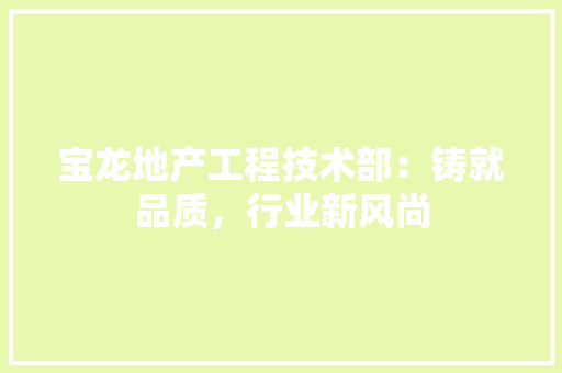 宝龙地产工程技术部：铸就品质，行业新风尚 现代风格装饰