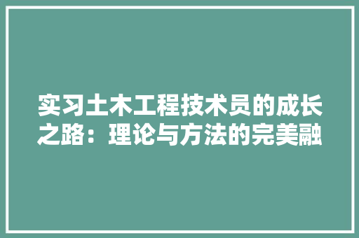 实习土木工程技术员的成长之路：理论与方法的完美融合