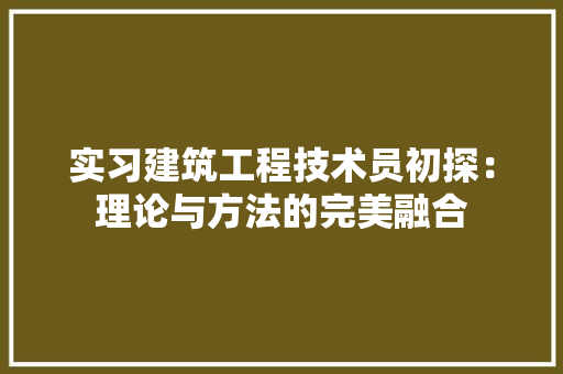 实习建筑工程技术员初探：理论与方法的完美融合 现代风格装饰
