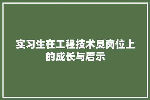 实习生在工程技术员岗位上的成长与启示 现代风格装饰