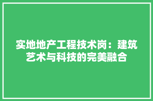 实地地产工程技术岗：建筑艺术与科技的完美融合 现代风格装饰