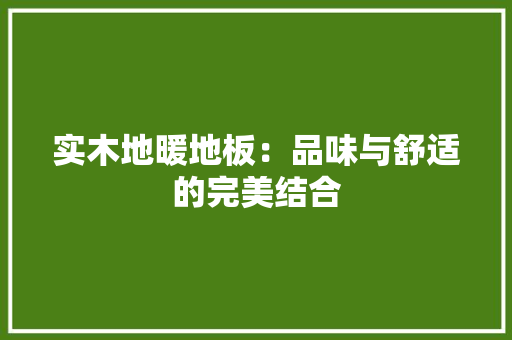 实木地暖地板：品味与舒适的完美结合 现代风格装饰