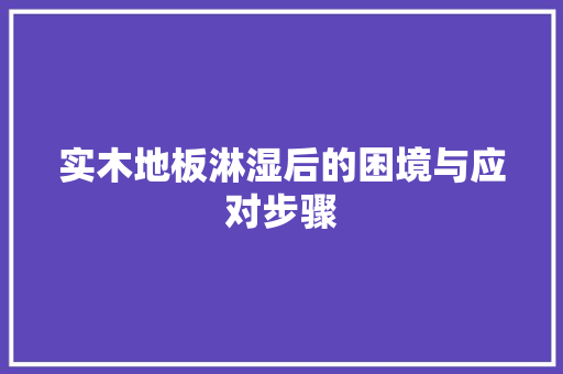 实木地板淋湿后的困境与应对步骤 现代风格装饰