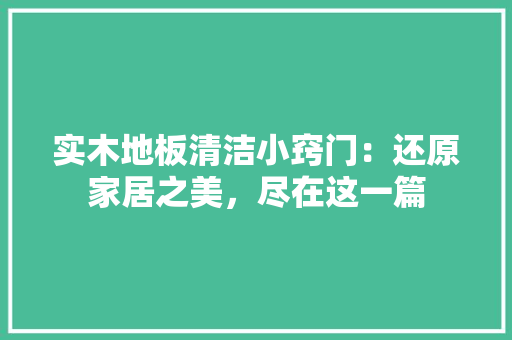 实木地板清洁小窍门：还原家居之美，尽在这一篇 现代风格装饰