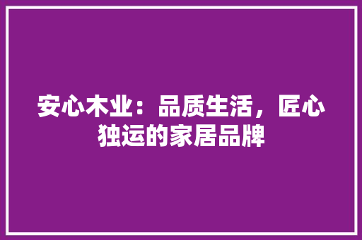 安心木业：品质生活，匠心独运的家居品牌 现代风格装饰