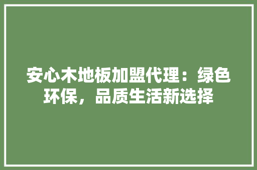 安心木地板加盟代理：绿色环保，品质生活新选择 现代风格装饰