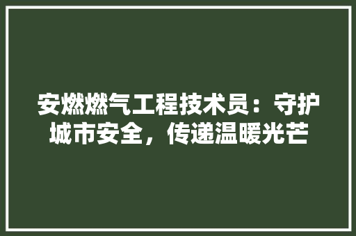 安燃燃气工程技术员：守护城市安全，传递温暖光芒 现代风格装饰