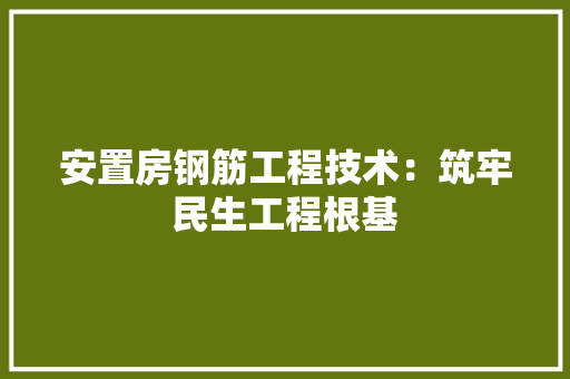 安置房钢筋工程技术：筑牢民生工程根基 现代风格装饰