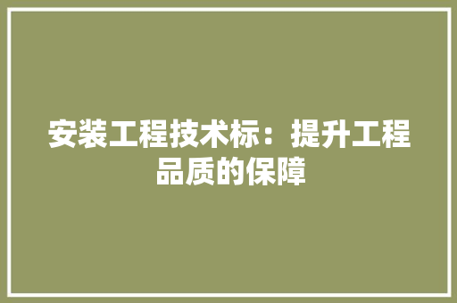 安装工程技术标：提升工程品质的保障 现代风格装饰