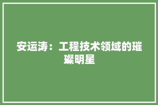 安运涛：工程技术领域的璀璨明星 现代风格装饰