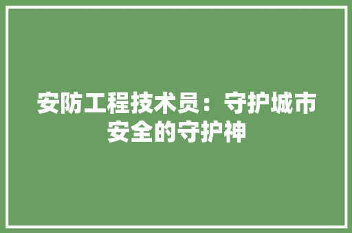 安防工程技术员：守护城市安全的守护神 现代风格装饰