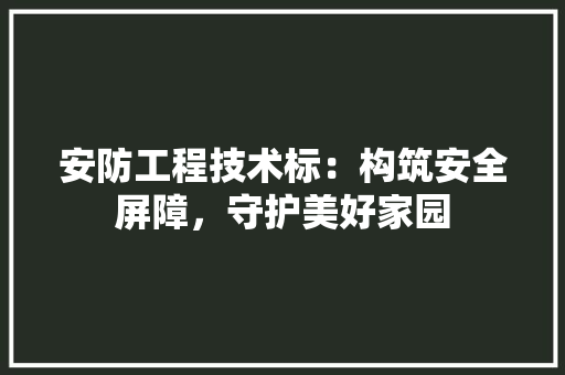 安防工程技术标：构筑安全屏障，守护美好家园 现代风格装饰