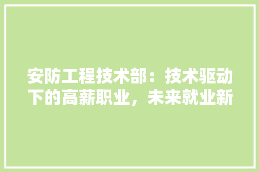 安防工程技术部：技术驱动下的高薪职业，未来就业新方向 现代风格装饰