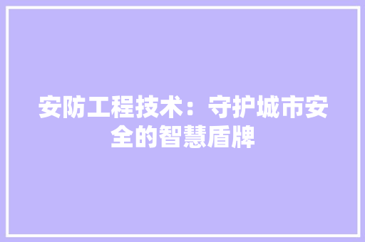 安防工程技术：守护城市安全的智慧盾牌 现代风格装饰