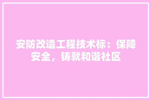 安防改造工程技术标：保障安全，铸就和谐社区 现代风格装饰