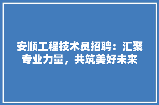 安顺工程技术员招聘：汇聚专业力量，共筑美好未来 现代风格装饰