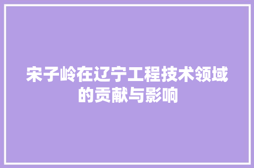 宋子岭在辽宁工程技术领域的贡献与影响 现代风格装饰