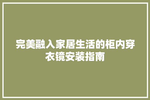 完美融入家居生活的柜内穿衣镜安装指南 现代风格装饰