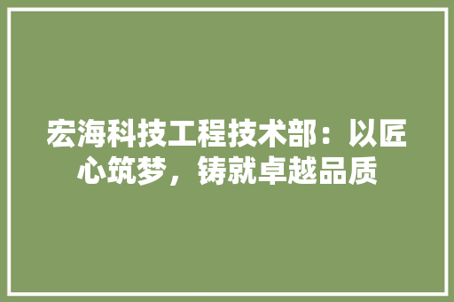 宏海科技工程技术部：以匠心筑梦，铸就卓越品质 现代风格装饰