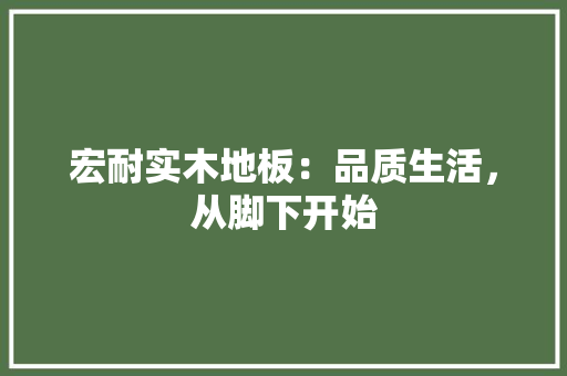 宏耐实木地板：品质生活，从脚下开始 现代风格装饰