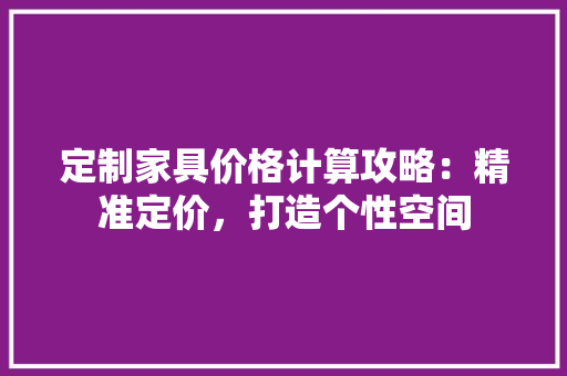 定制家具价格计算攻略：精准定价，打造个性空间 现代风格装饰