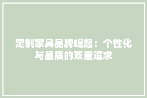 定制家具品牌崛起：个性化与品质的双重追求 现代风格装饰