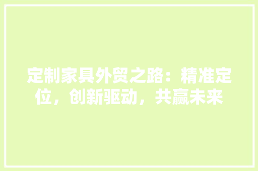 定制家具外贸之路：精准定位，创新驱动，共赢未来 现代风格装饰