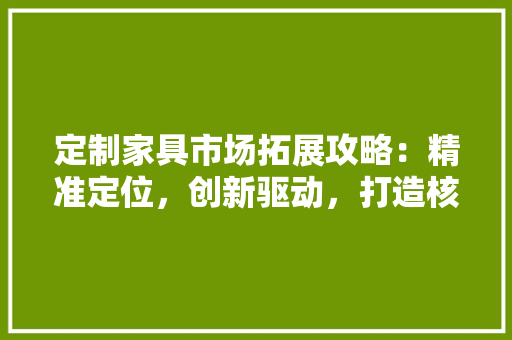 定制家具市场拓展攻略：精准定位，创新驱动，打造核心竞争力 现代风格装饰