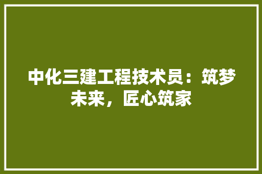 中化三建工程技术员：筑梦未来，匠心筑家 家居装修