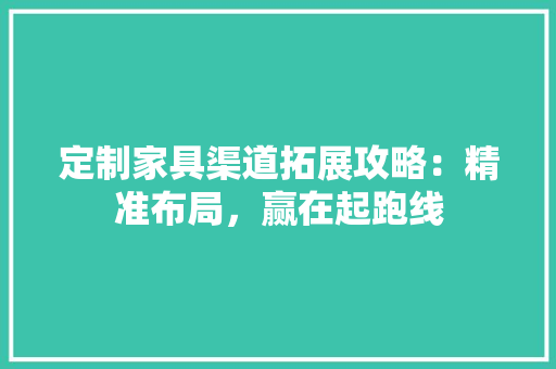 定制家具渠道拓展攻略：精准布局，赢在起跑线 现代风格装饰