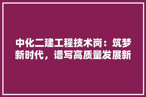 中化二建工程技术岗：筑梦新时代，谱写高质量发展新篇章